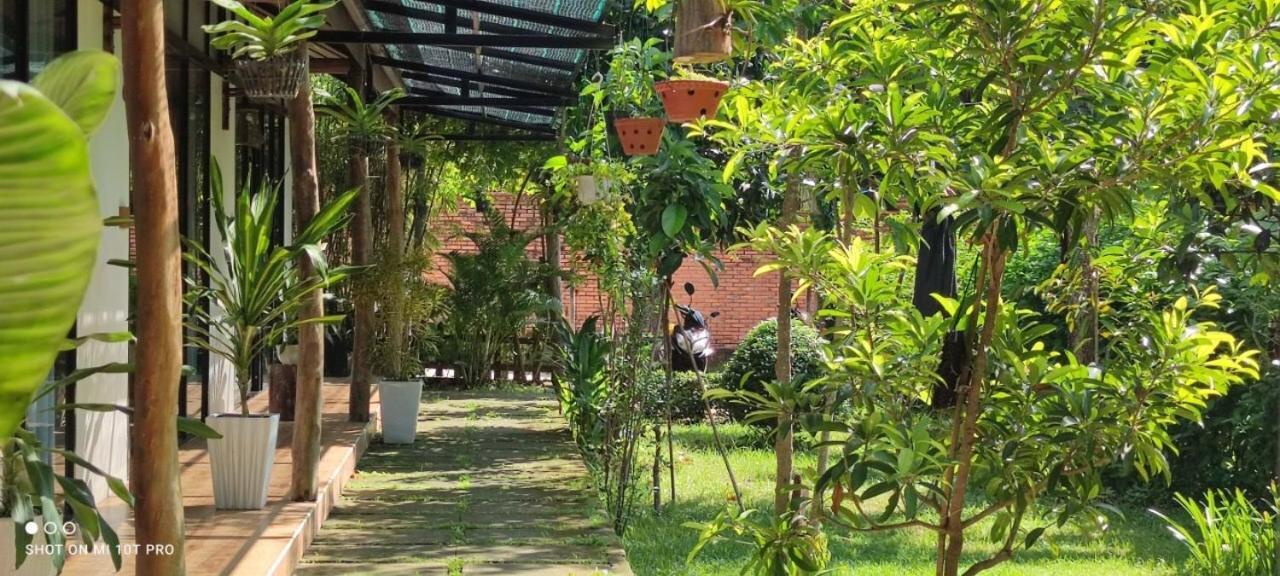 Bebe Homestay フーコック エクステリア 写真